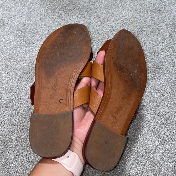 San Edelman Slides - Picture 9 of 9